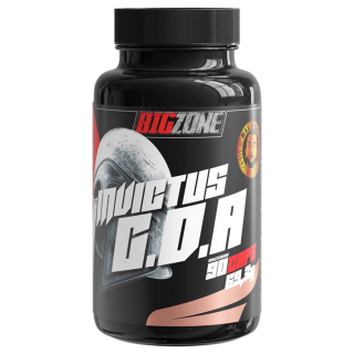 Big Zone  Invictus G.D.A (90 Kapseln) GDA